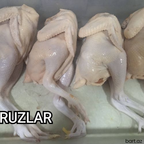 Serebrist Xoruz Əti