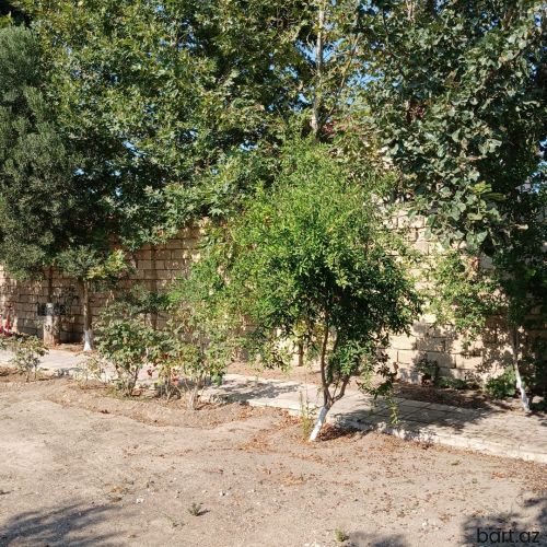 Buzovnada Mərkəzdə 5.5 sot torpaq sahəsi satılır