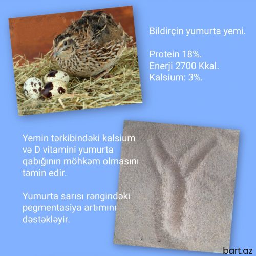 Bildirçin yumurta yemi