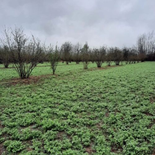 Bakixanov qəs-də 25 sot torpaq sahəsi satilir.