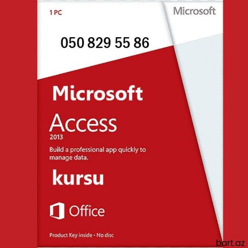 Access kurslari
