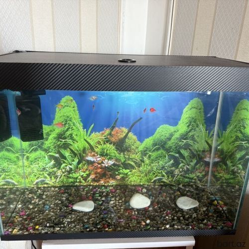 Dördbucaq Akvarium, Balıqlarla birlikdə, 90 l