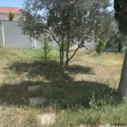 4 sot torpaq sahəsi