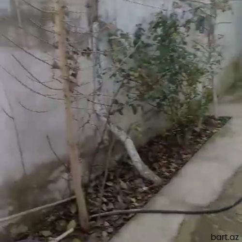 Mastaga 3 otaq həyət evi
