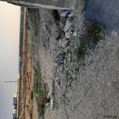 Turkan qesebesi qizil qum cimerliyi