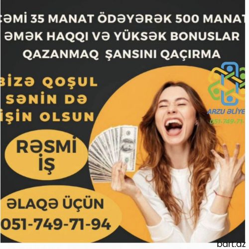 Xanimlar ucun online is