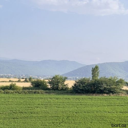 Qubada 3 sot torpaq sahəsi satilir.