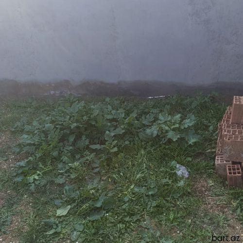 3 otaqlı həyət evi satılır