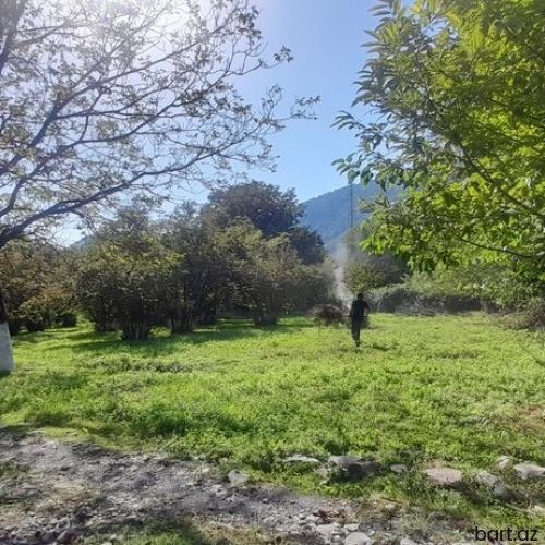 Oğuz rayonunda10 sot torpaq satilir.