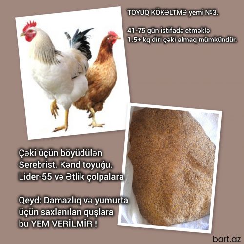 Toyuq Kökəltmə yemi №3