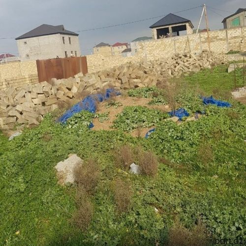 4 sot, Biznes üçün, Mülkiyyətçi, Kupça (Çıxarış)