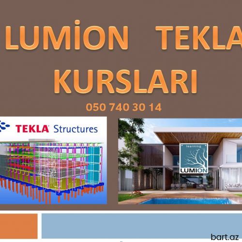 TEKLA və Lumion  kursları