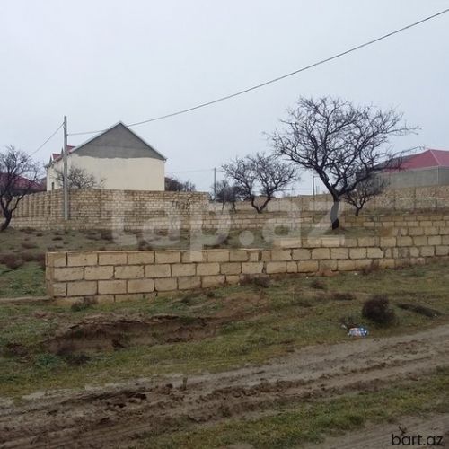 12 sot, Tikinti, Kupça (Çıxarış)