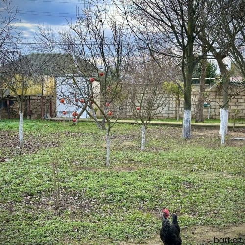 Qala qəs-də 3 sot torpaq sahəsi satilir.