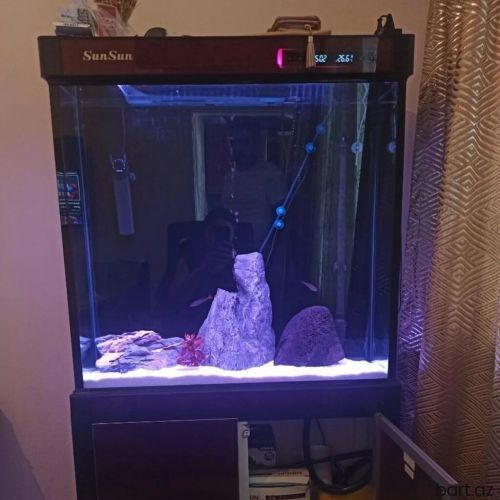 205 lt bos akvarium