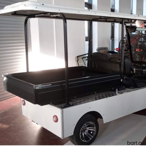 Yük qolf maşını DU-G4L-8+cargo (ikiyerli)