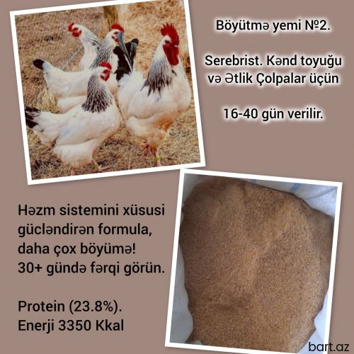 Böyütmə yemi №2