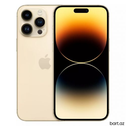IPhone 13 Pro Max | 256 GB 