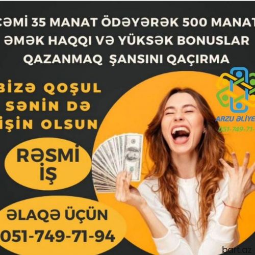 Xanımlar üçün online iş