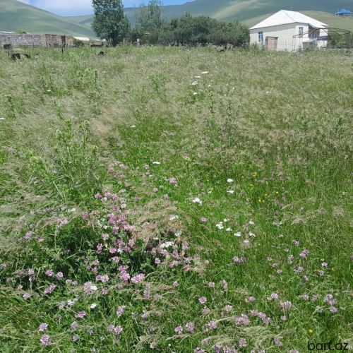  Xoşbulaq kən-də 6 sot torpaq sahəsi satilir.