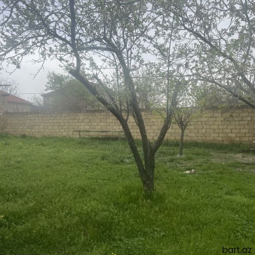 Şamaxıda 5 sot torpaq satılır.