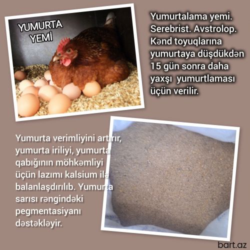 Yumurtalama yemi