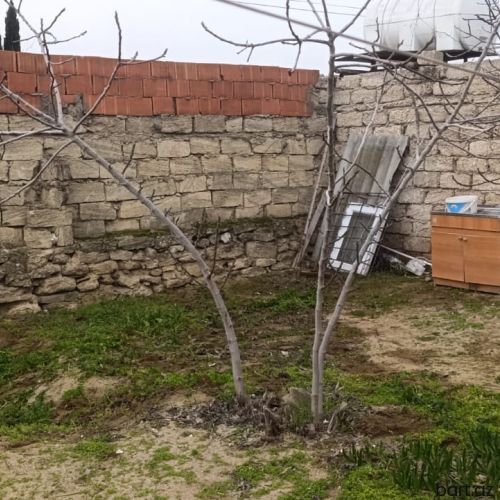 3 otaqlı həyət evi satılır