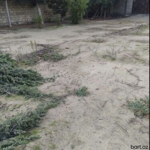  Qaraçuxur qəs-də 3 sot torpaq sahəsi satilir.