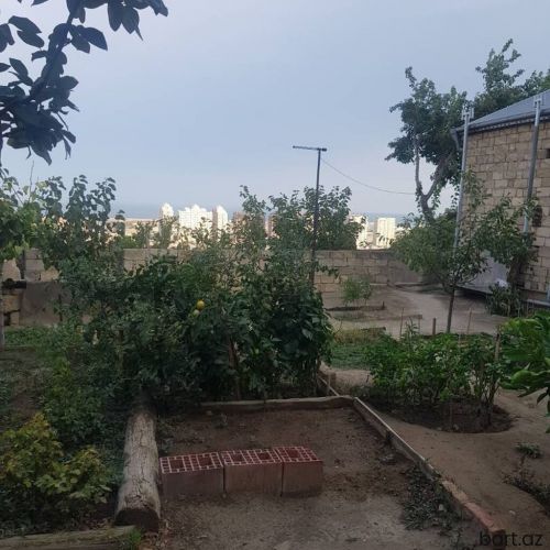20 sahə qəs-də 1 sot torpaq sahəsi satilir.
