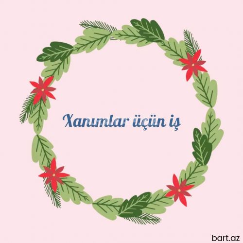 Evdar və tələbə xanımlar üçün online iş 