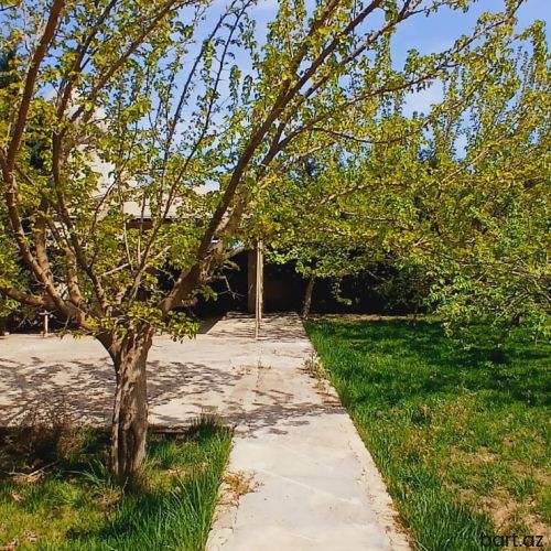 7 otaqlı bağ evi