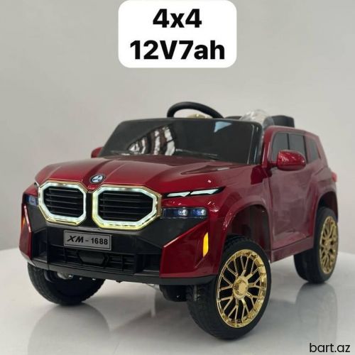 BMW XM 1688