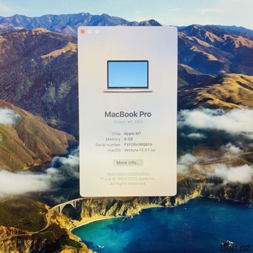 Apple M1, 8 GB, 13.3 