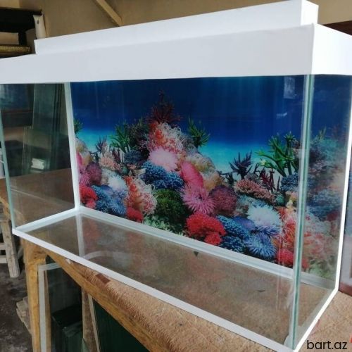  Akvariumun su tutumu 100 litr