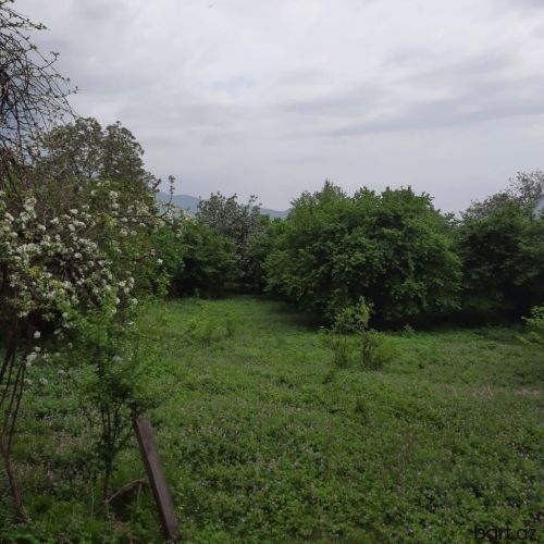 Şəki rayonunda 23 sot torpaq sahəsi satilir
