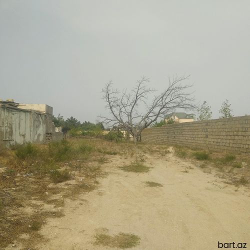 Pirşağı qəsəbəsi, 8 sot tropaq satılır