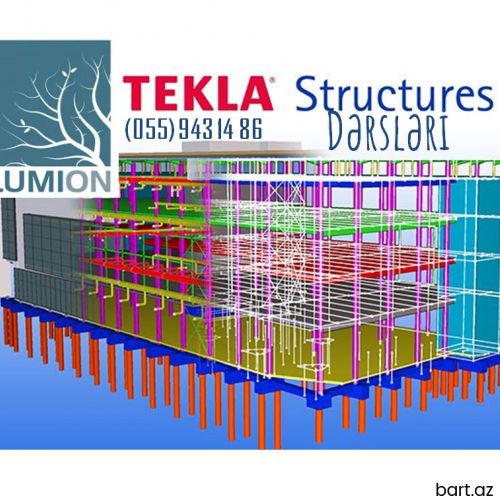 Tekla Structures və Lumion Təlimi