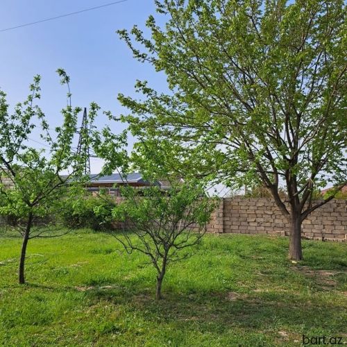 Maştağa qəs.