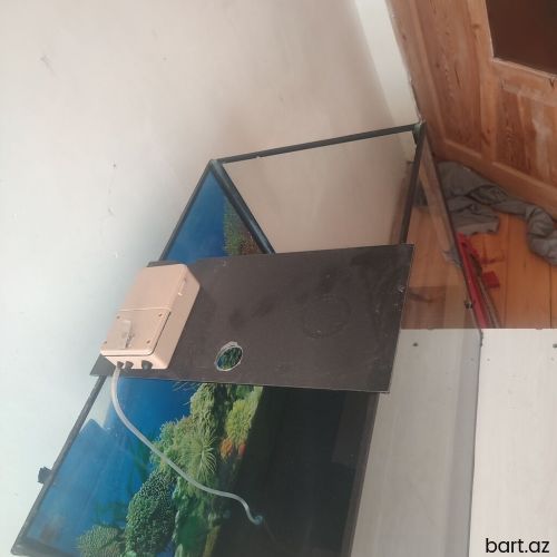 Akvarium satılır