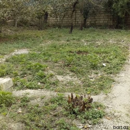 Xudatda 6 sot torpaq sahəsi satilir.