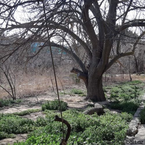 Maştağa qəsəbəsi,