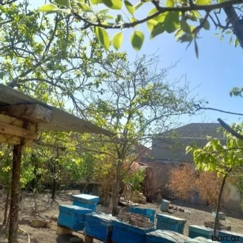 :Binəqədi qəs-də 8 sot torpaq sahəsi satilir.