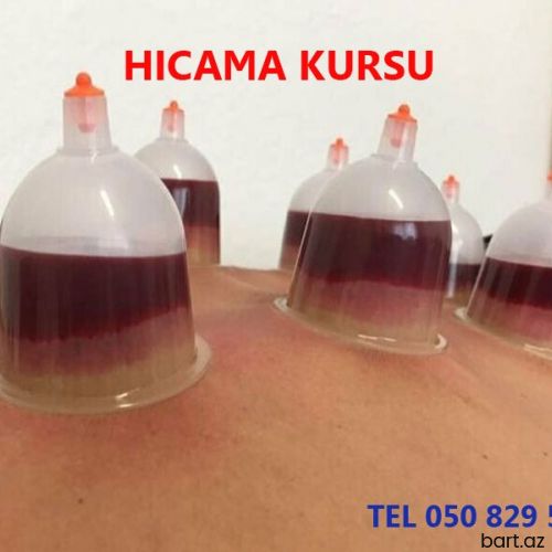 Hicama kurslari