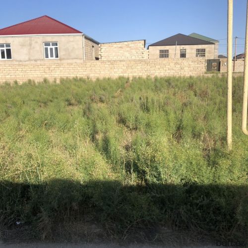 Yeni Ramanıda 10 sot torpağ satılır. 