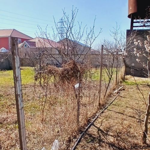 Buzovnada bağ evi 