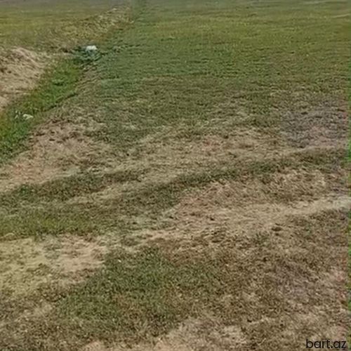 Novxanıda 12 sot torpaq sahəsi satilir.