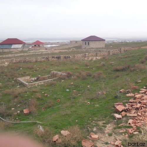 8 sot, Tikinti, Kupça (Çıxarış)