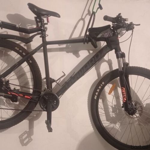 Velosiped 29-luq