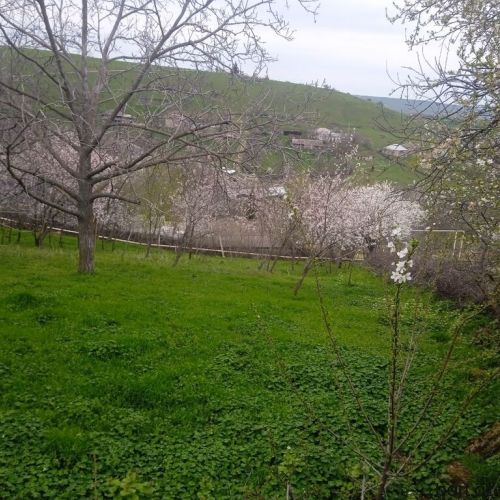 Şabranın əmirxanlı kəndində 17 sot torpaq satilir