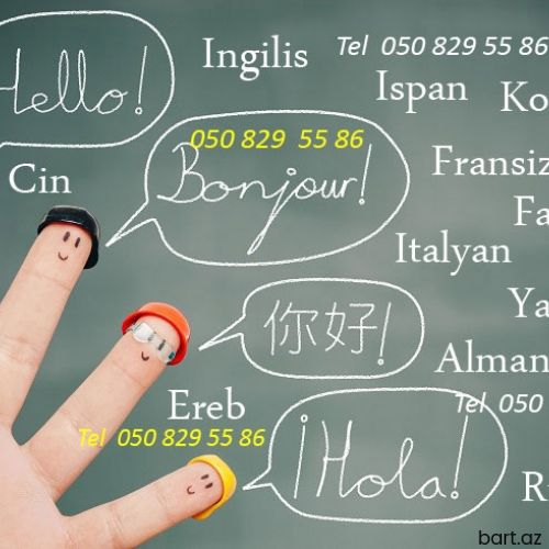 A-dan Z-ə bütün xarici dilər tək ünvanda